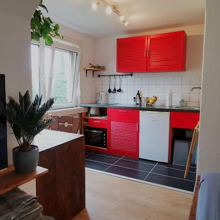 Kleines Studio Am Uni-Campus - Perfekt Fuer Junge Unternehmungslustige Дрезден Екстериор снимка